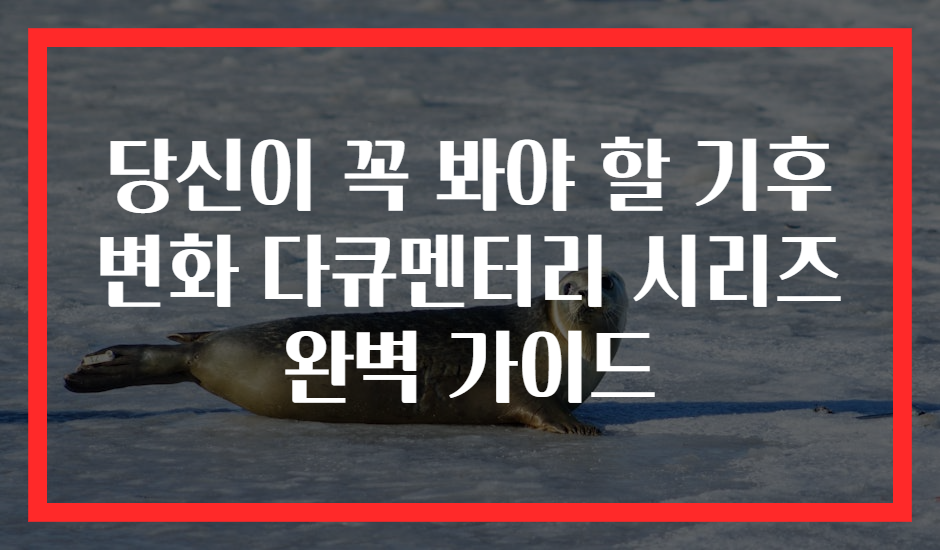 당신이 꼭 봐야 할 기후 변화 다큐멘터리 시리즈 완벽 가이드