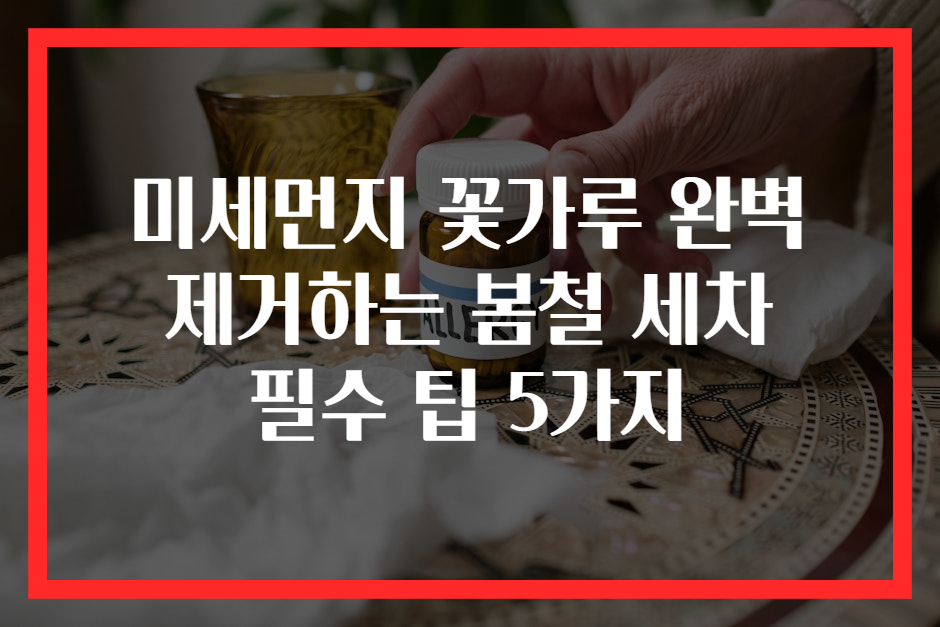 미세먼지 꽃가루 완벽 제거하는 봄철 세차 필수 팁 5가지