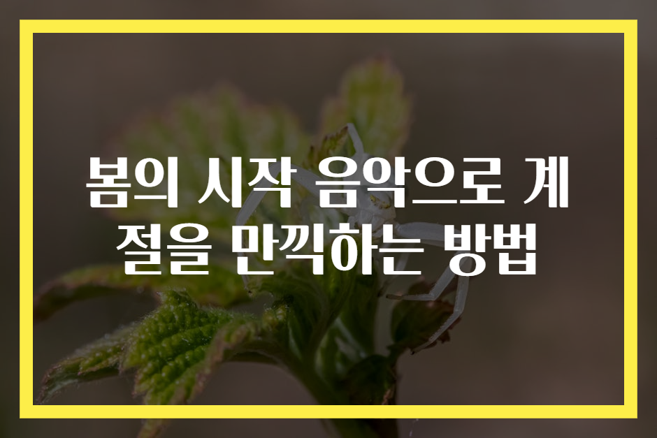 봄의 시작 음악으로 계절을 만끽하는 방법