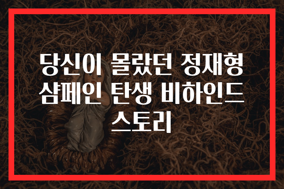 당신이 몰랐던 정재형 샴페인 탄생 비하인드 스토리