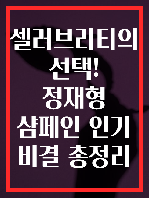 셀러브리티의 선택! 정재형 샴페인 인기 비결 총정리