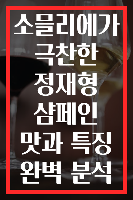 소믈리에가 극찬한 정재형 샴페인 맛과 특징 완벽 분석
