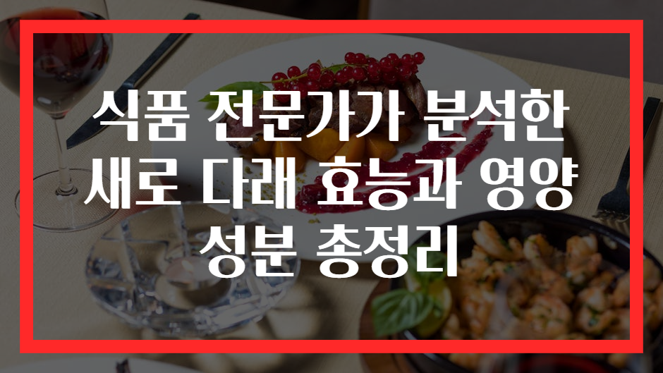 식품 전문가가 분석한 새로 다래 효능과 영양 성분 총정리