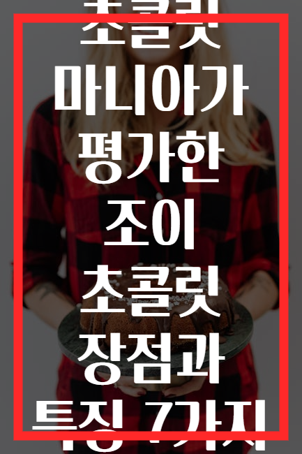 초콜릿 마니아가 평가한 조이 초콜릿 장점과 특징 7가지