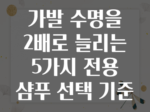 가발 수명을 2배로 늘리는 5가지 전용 샴푸 선택 기준