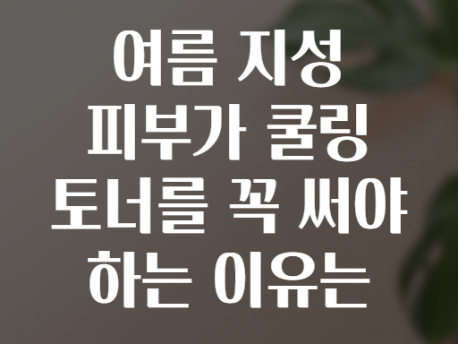 여름 지성 피부가 쿨링 토너를 꼭 써야 하는 이유는