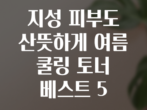 지성 피부도 산뜻하게 여름 쿨링 토너 베스트 5